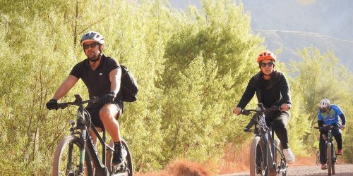 Cusco-Coricocha-Cooya-10-1-scaled