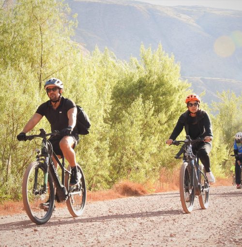 Cusco-Coricocha-Cooya-10-1-scaled