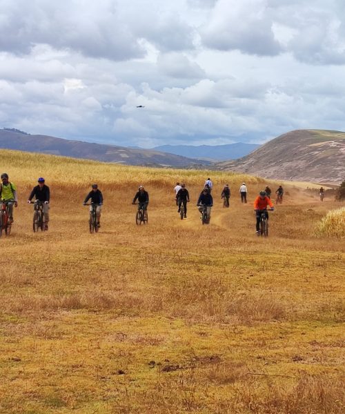 IMG_20220510_105304-scaled